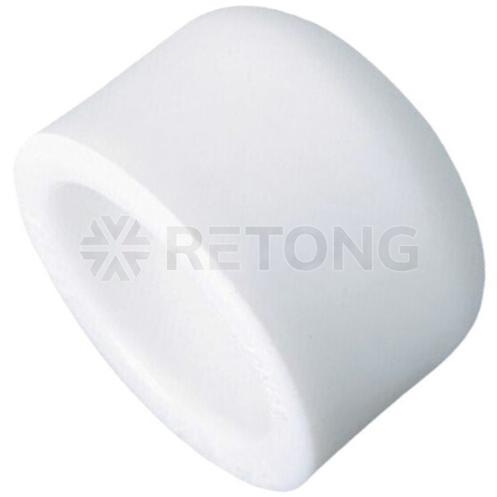 Заглушка (пробка) PP-R бел Дн25 РосТурПласт 10549