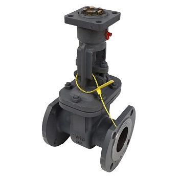 Задвижка ст 30с941нж Ду600 Ру16 п/эл Г фл WGCN