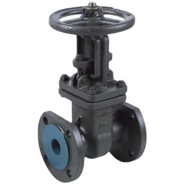 Задвижка ст 30с41нж Ду100 Ру16 фл BRDHSB