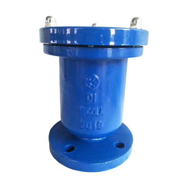 Вантуз чуг В6 6010 Ду50 Ру10/16 фл авт верт Benarmo