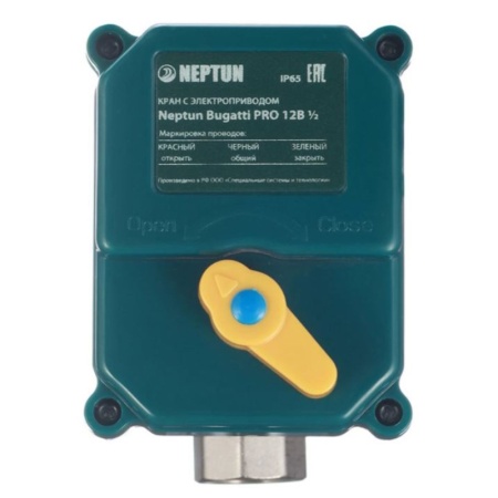 Кран с электроприводом Neptun Bugatti Pro 220В 1