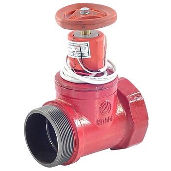 Клапан пожарный чуг прямой Ду50 Ру16 ВР/НР с датч Апогей КПЧП 50-1 110034