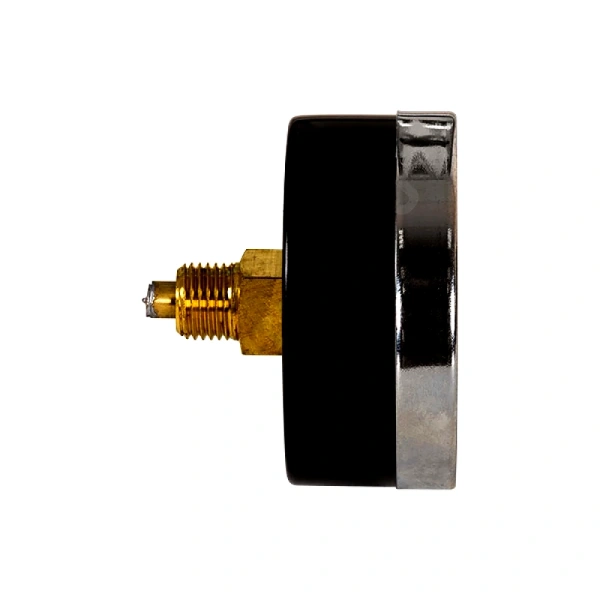 Термоманометр осев МД04 160С 0-1,6МПа Дк80 G1/4" в/к перех G1/2" L=60мм ЭКОМЕРА