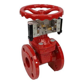 Задвижка аналог МЗВ чуг Ду100 Ру10/16 к/выкл пож Benarmo