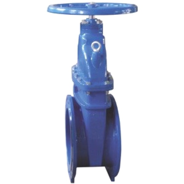 Задвижка чуг аналог МЗВГ Ду250 Ру16 120C Giacomini R55FLY025