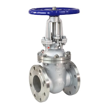 Задвижка нерж 30нж41нж Ду250 Ру16 фл WGCN