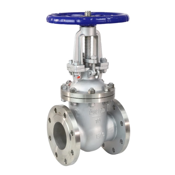 Задвижка нерж 30нж41нж Ду250 Ру16 фл WGCN