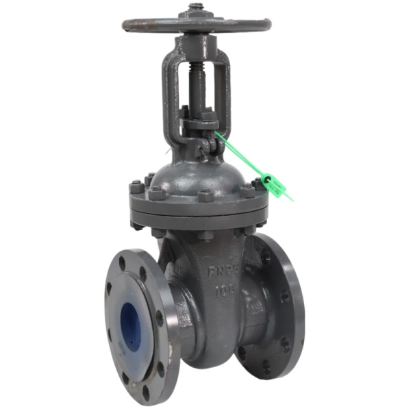 Задвижка ст 30с64нж Ду100 Ру25 фл BRDHSB