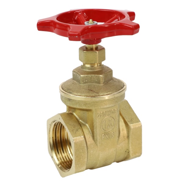 Задвижка клин лат Ду50 Ру16 м/м Giacomini R55Y008