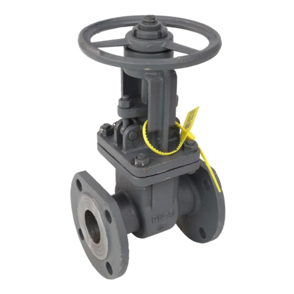 Задвижка ст 30с41нж Ду250 Ру16 фл BRDHSB 6