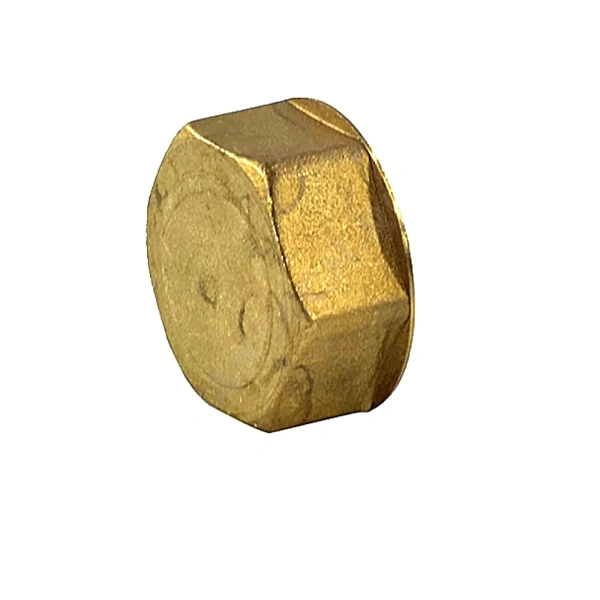 Пробка лат 24/19 вн/р д/коллект Giacomini R594Y002