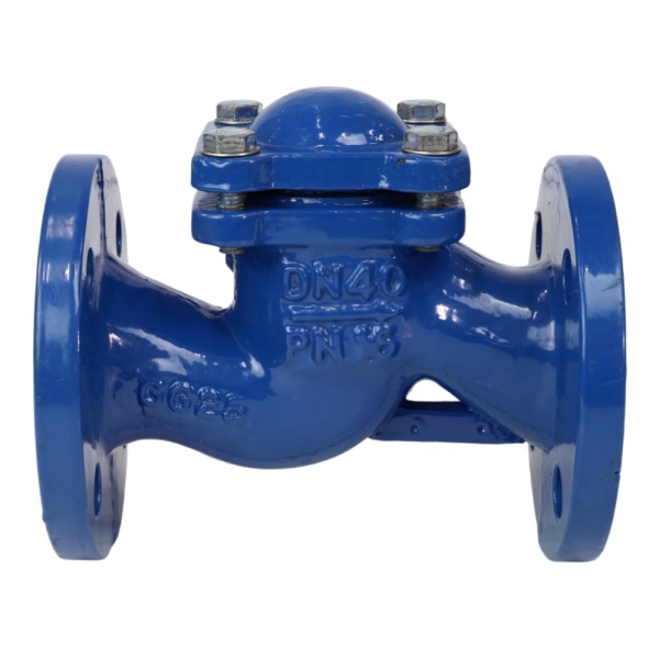 Клапан обр чуг подъем Ду32 Ру16 фл д/чуг Benarmo