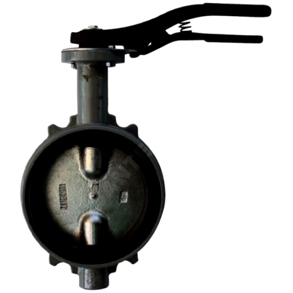 Затвор поворот чуг EPDM Ду65 Ру16 д/чуг R59W Giacomini R59WX006