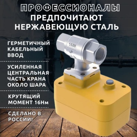 Кран с электроприводом Neptun PROFI 220В 1