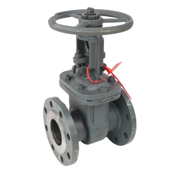 Задвижка ст 30с15нж Ду80 Ру40 фл BRDHSB