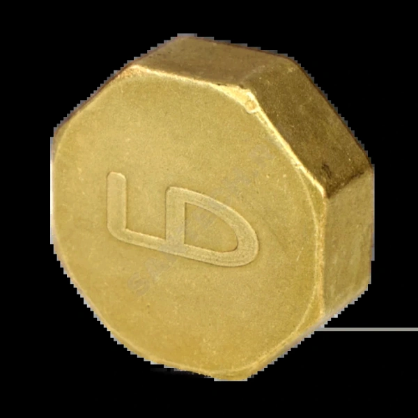 Заглушка лат Ду25 ВР LD.65.504.25