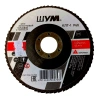 Круг лепестковый КЛТ-1 125х22 A40