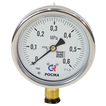 Манометр рад гидр ТМ-520Р.20 0-0,6МПаДк100 G1/2" силик нерж Росма 00000030537