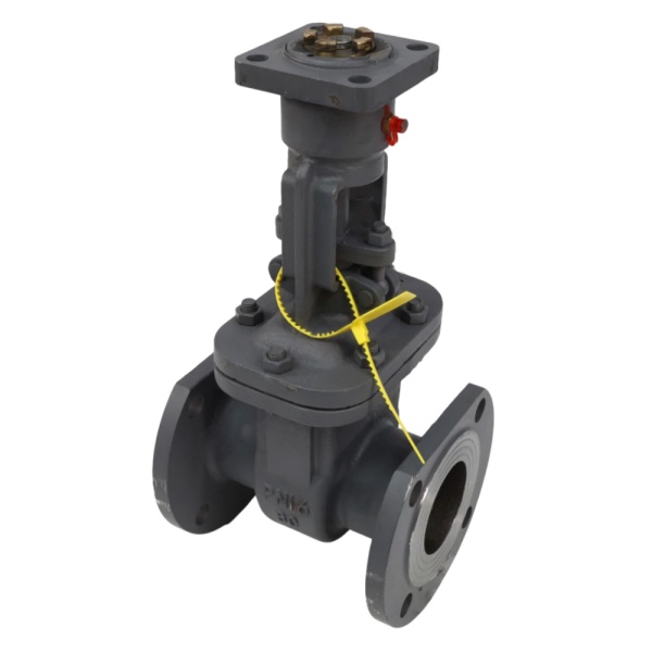 Задвижка ст 30с941нж Ду150 Ру16 п/эл А фл WGCN