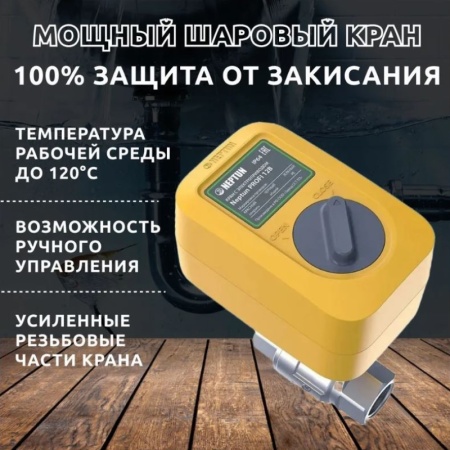 Кран с электроприводом Neptun PROFI 220В 1